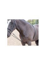 BLENHEIM OUTLINE Lunging AID