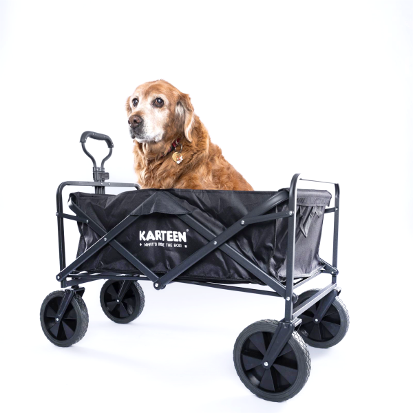 KARTEEN The Buggy Beach Wagon JX-004