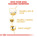 ROYAL CANIN GOLDEN  RETRIVER ADULT 3 Kg - Image 3