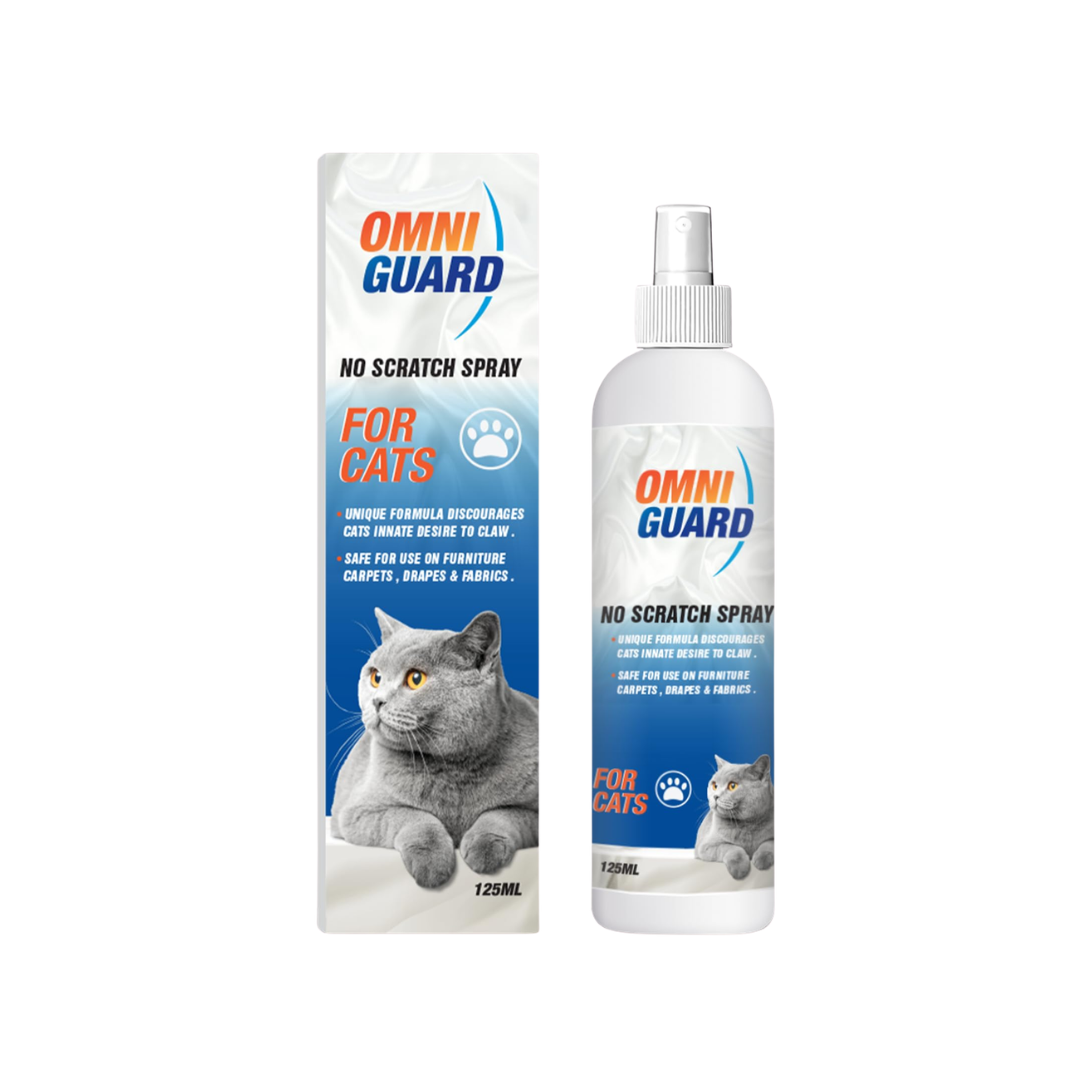 no scratch OMNI GUARD NOSCRATCH SPRAY125ML - Image 1
