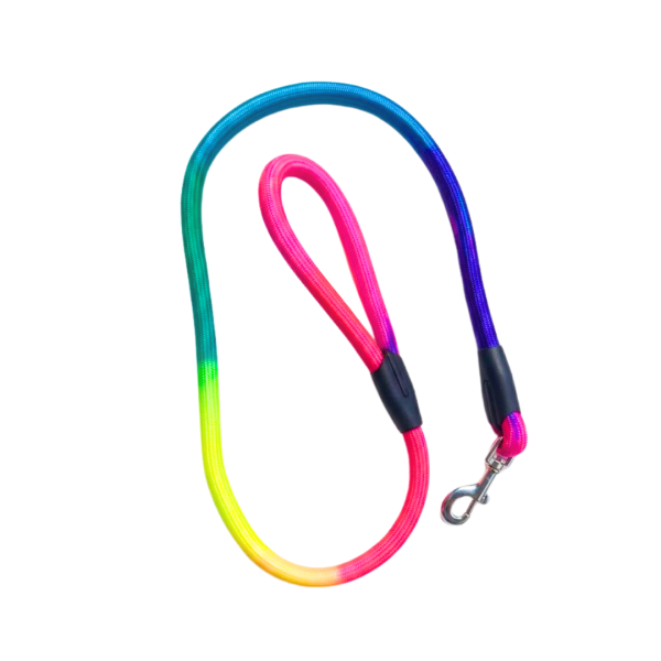 LEASH Rainbow Color JACK-28