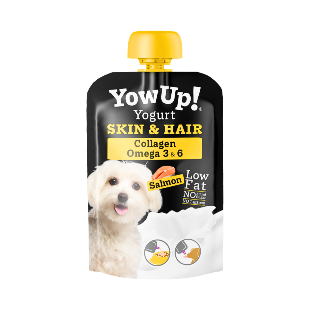 templet 1080 - 2026-06-30T144802.677 YOW UP YOGURT SKIN & HAIR SALMON 115G - Image 1